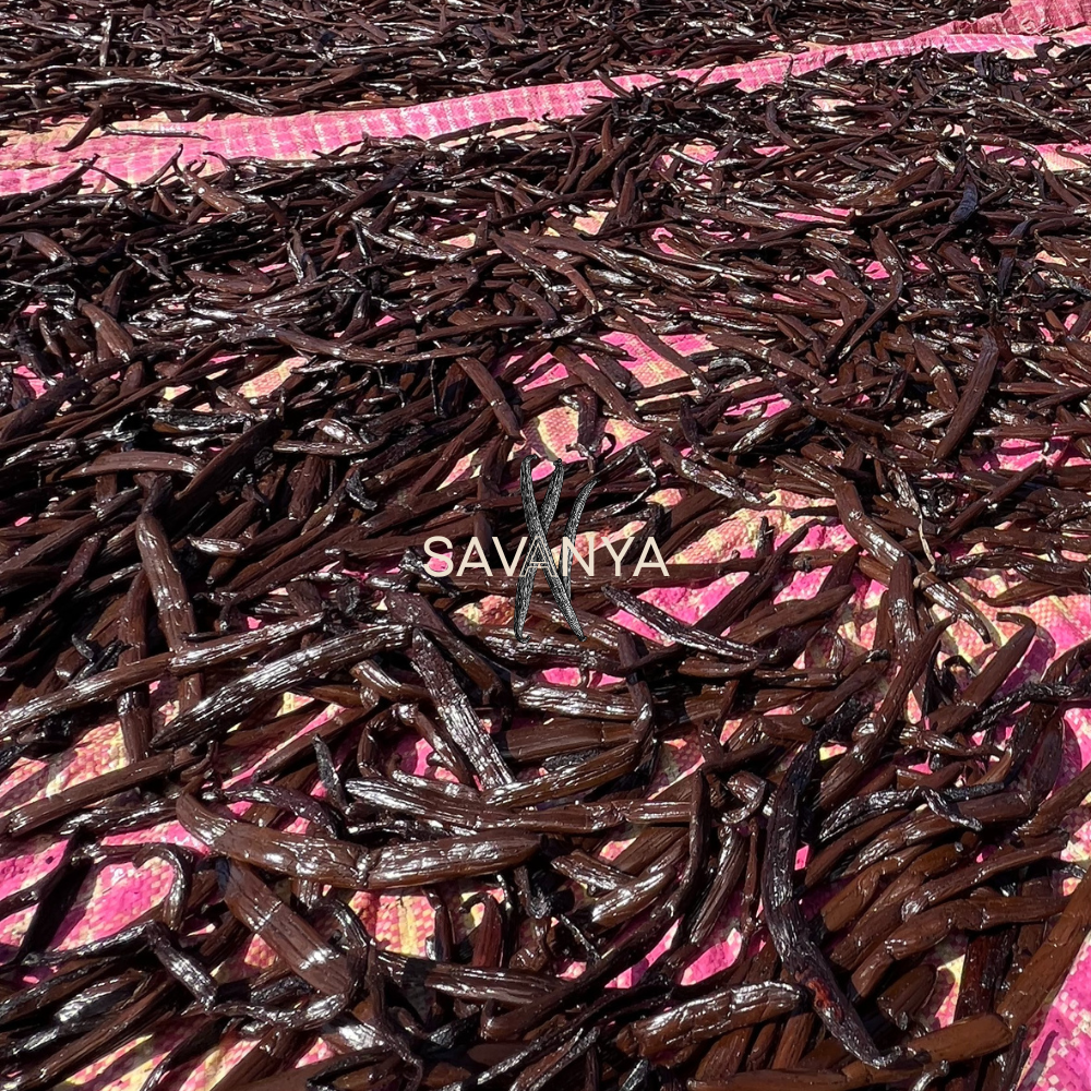 25 Gousses de Vanille Bourbon de Madagascar